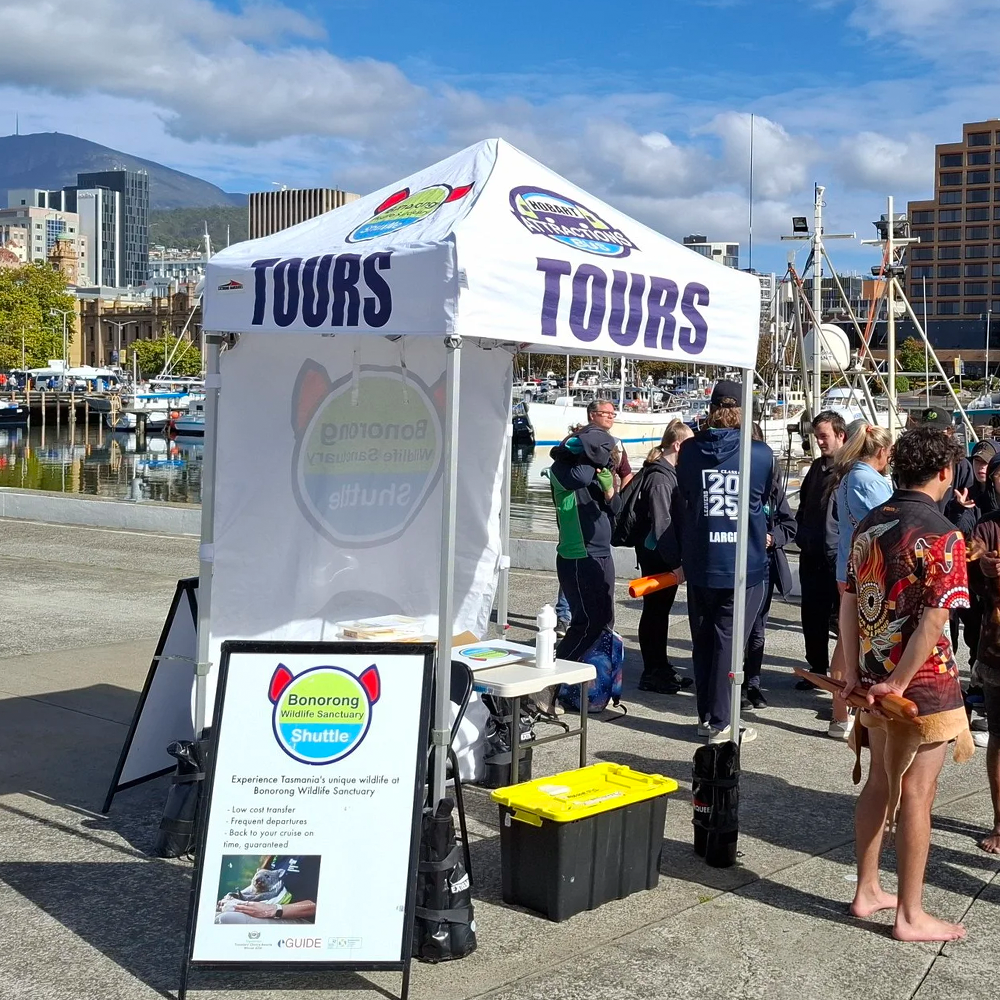 1.5m x 1.5m Printed Folding Gazebo | Custom Elite Package