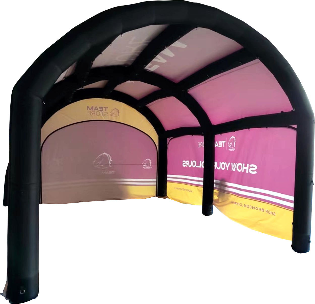 5m x 10m Custom Polaris | High Pressure Inflatables